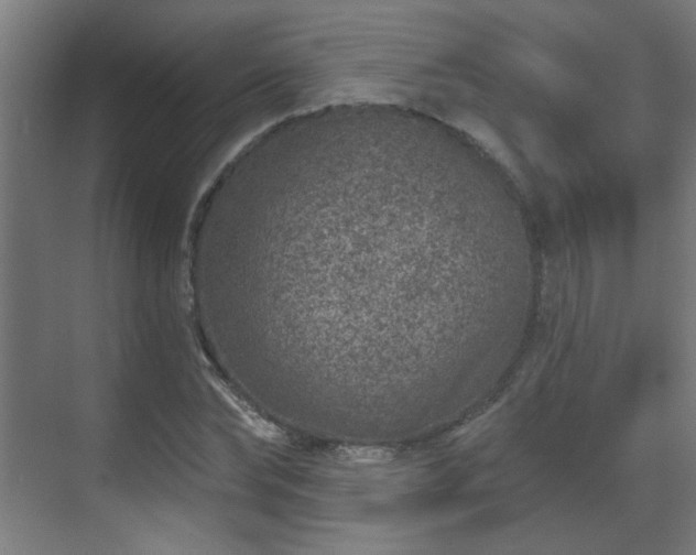 X0000071340878200606261313