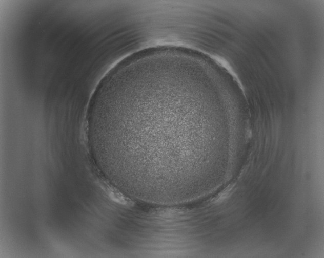 X0000071340879200606261313