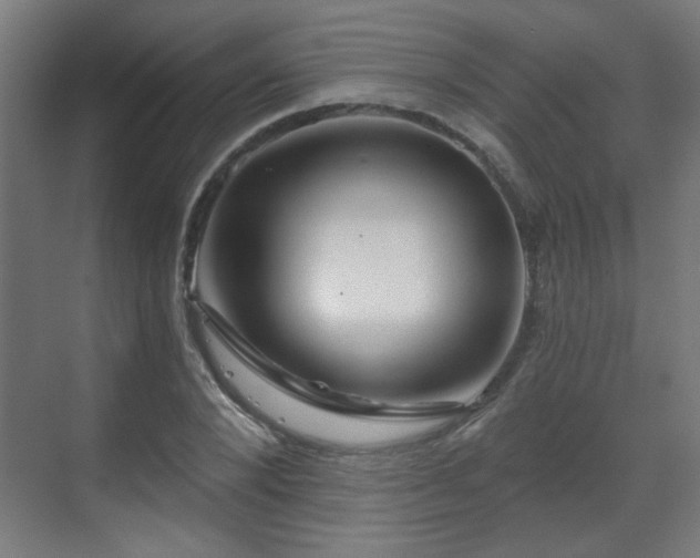 X0000071340880200606261313