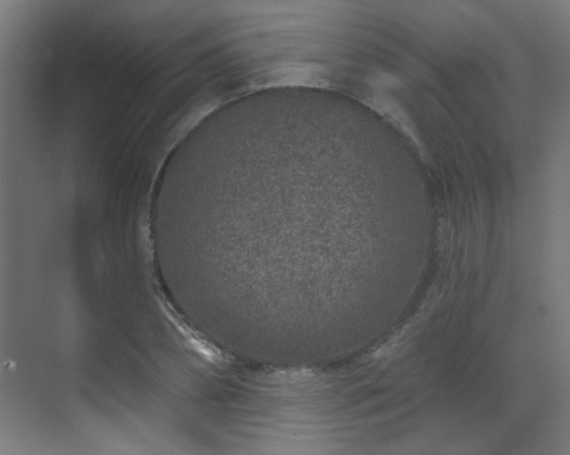 X0000071340882200606261313