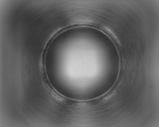 X0000071340883200606261313