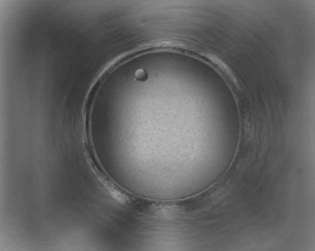 X0000071340886200606261313