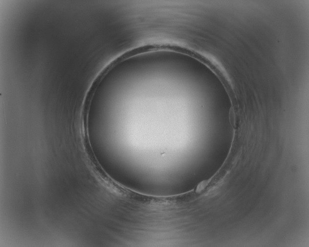 X0000071340887200606261313