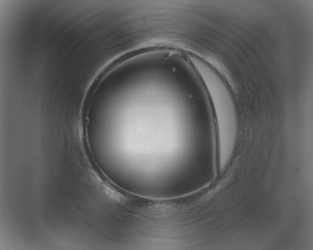 X0000071340888200606261313