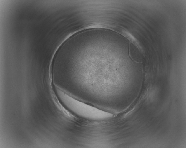 X0000071340892200606261313