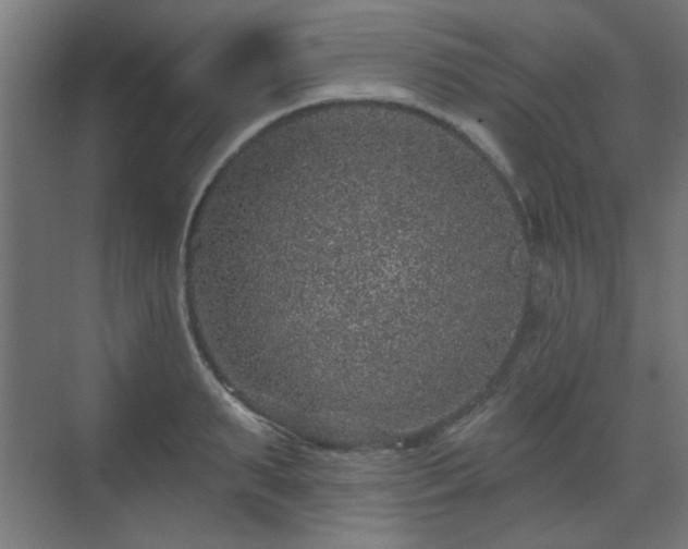 X0000071340895200606261312