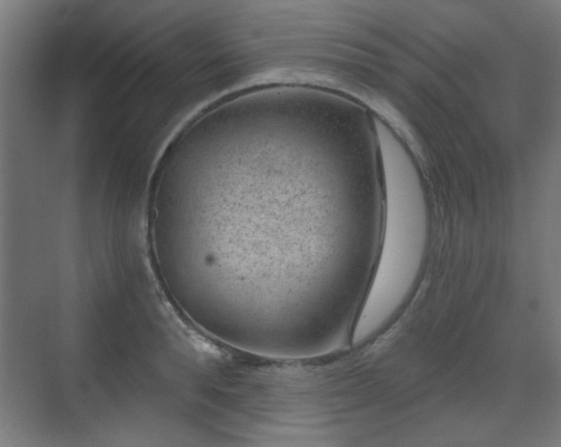 X0000071340896200606261312