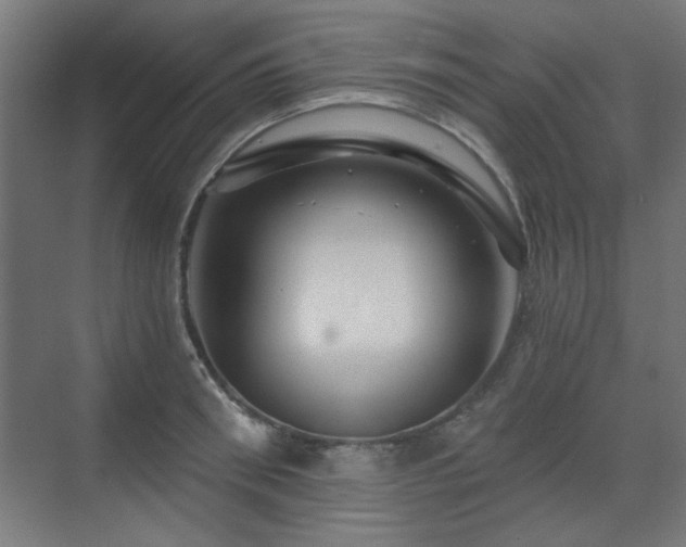 X0000071340898200606261312