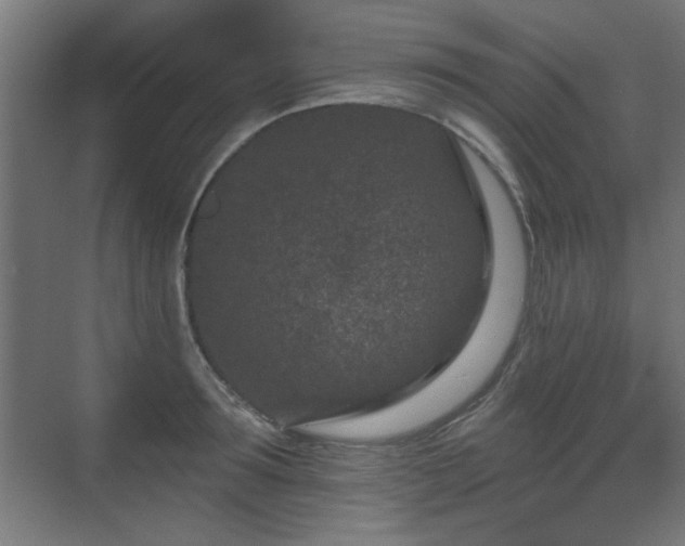 X0000071340899200606261312