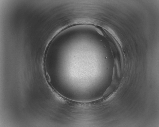 X0000071340901200606261312