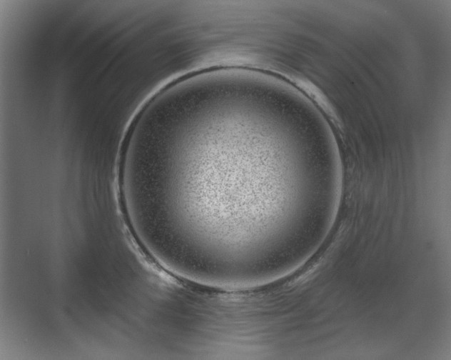 X0000071340904200606261312