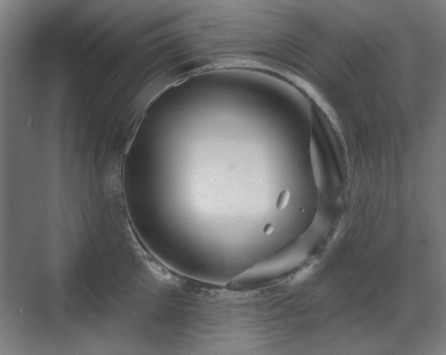 X0000071340905200606261312