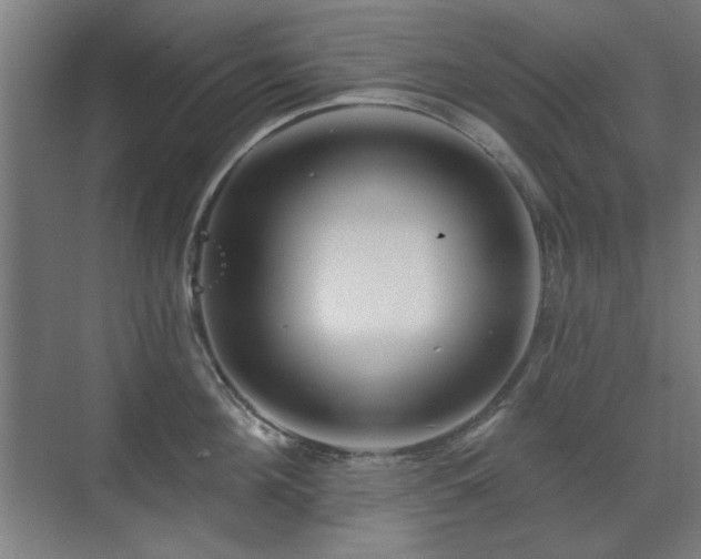 X0000071340908200606261312