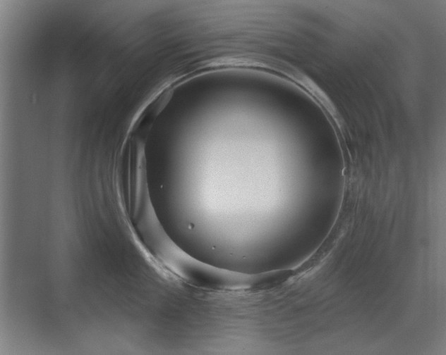 X0000071340909200606261312