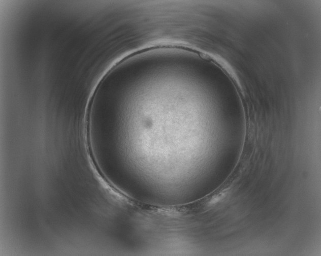 X0000071340911200606261312