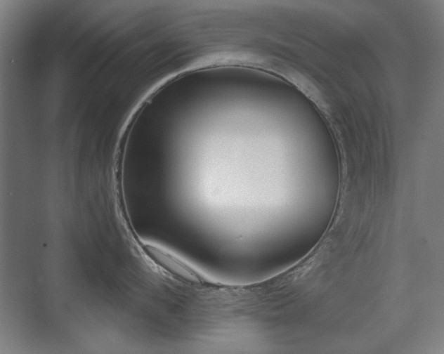 X0000071340912200606261312