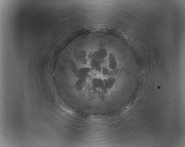 X0000071340913200606261311