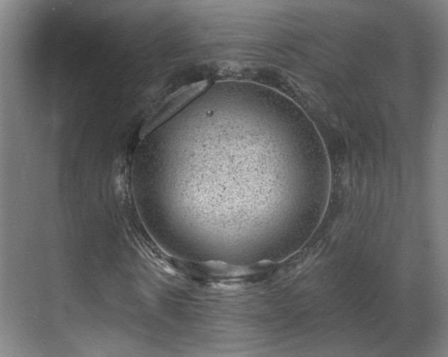 X0000071340914200606261311