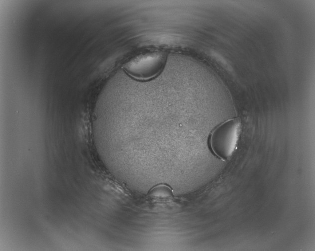 X0000071340918200606261311