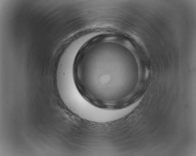 X0000071340920200606261311