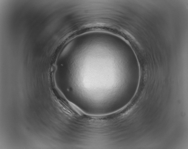 X0000071340921200606261311