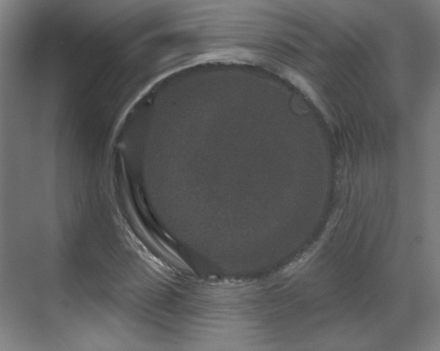 X0000071340923200606261312