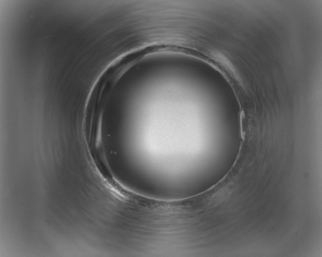 X0000071340924200606261312