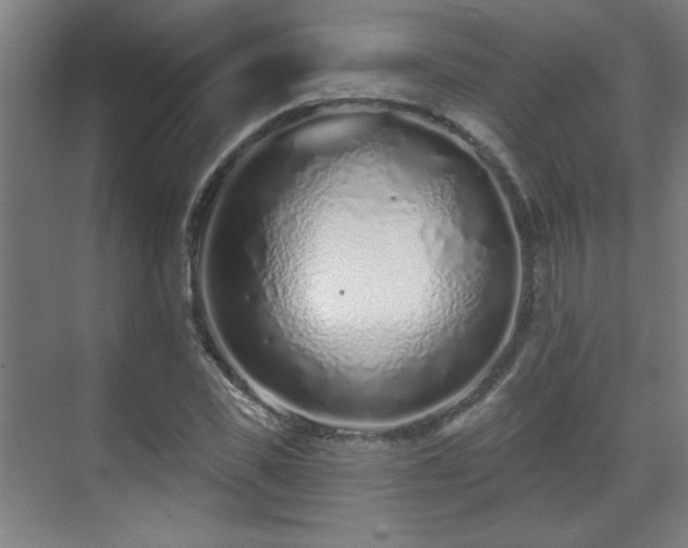 X0000071340925200606261312