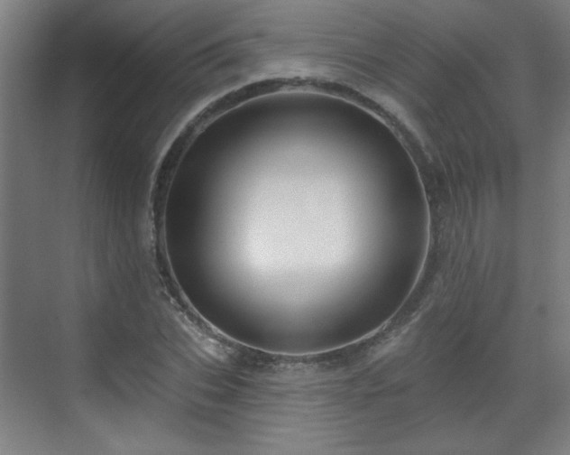 X0000071340927200606261312