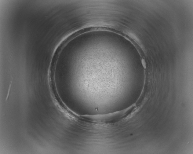 X0000071340928200606261312