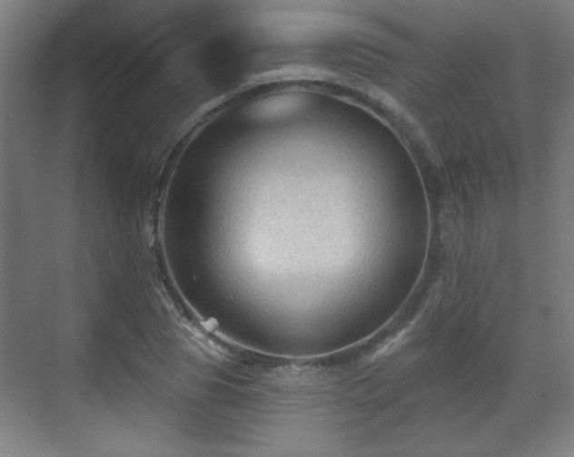 X0000071340929200606261312