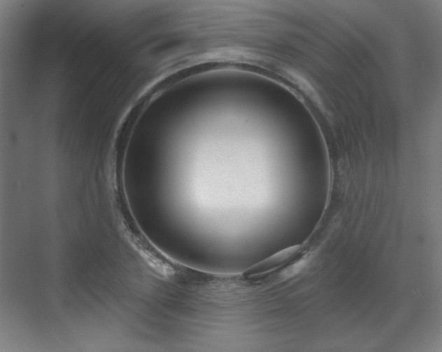 X0000071340931200606261312