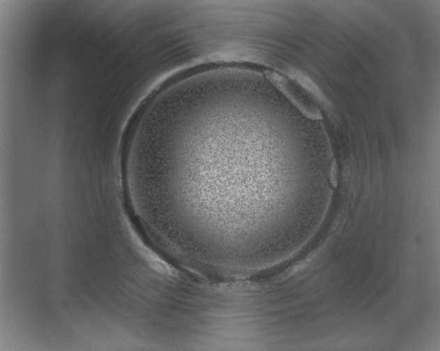 X0000071340934200606261312