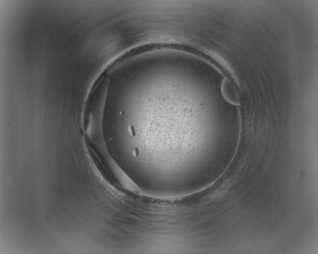 X0000071340935200606261312