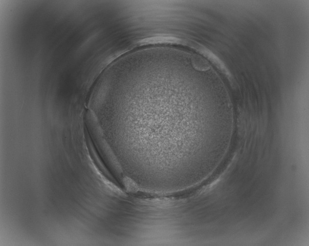 X0000071340937200606261312