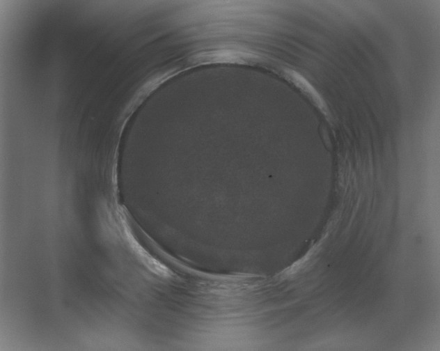 X0000071340938200606261312