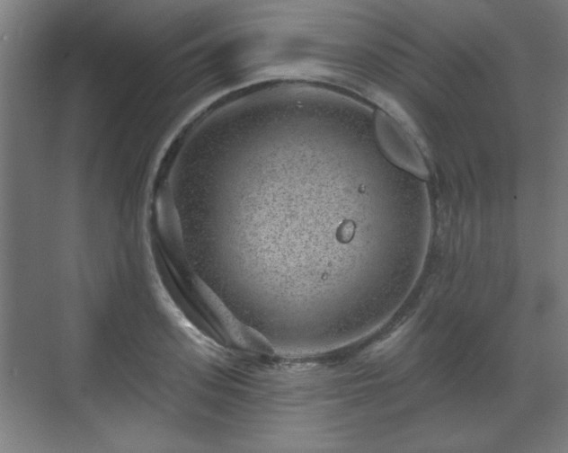 X0000071340939200606261312