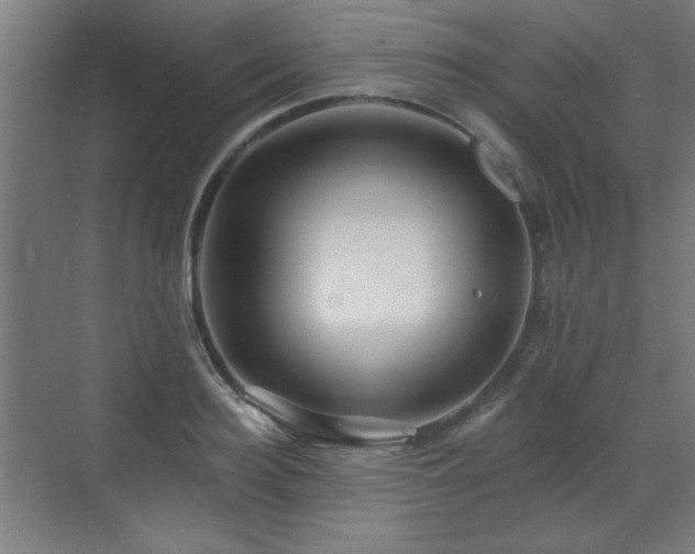 X0000071340940200606261312