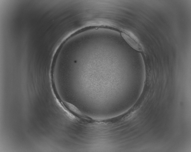 X0000071340943200606261312