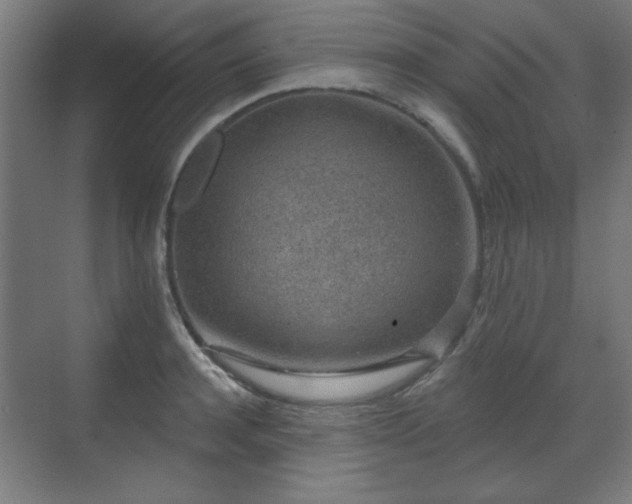 X0000071340944200606261312