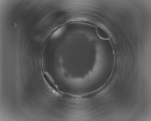 X0000071340945200606261312