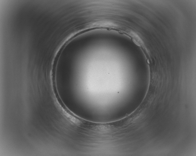 X0000071340947200606261312