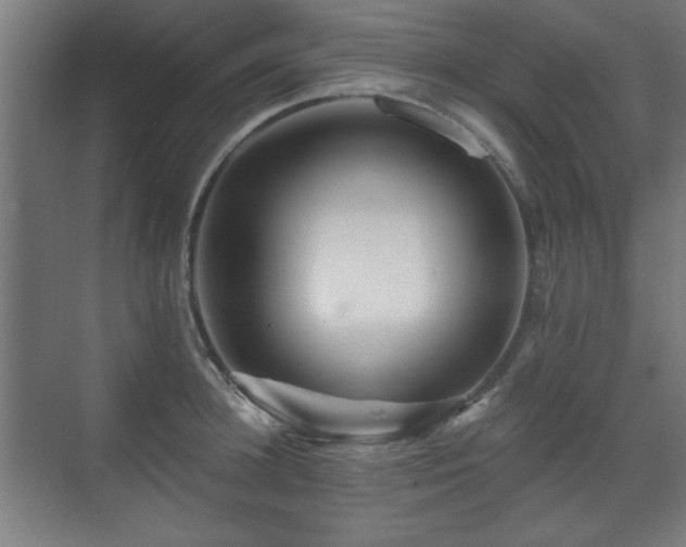 X0000071340948200606261312