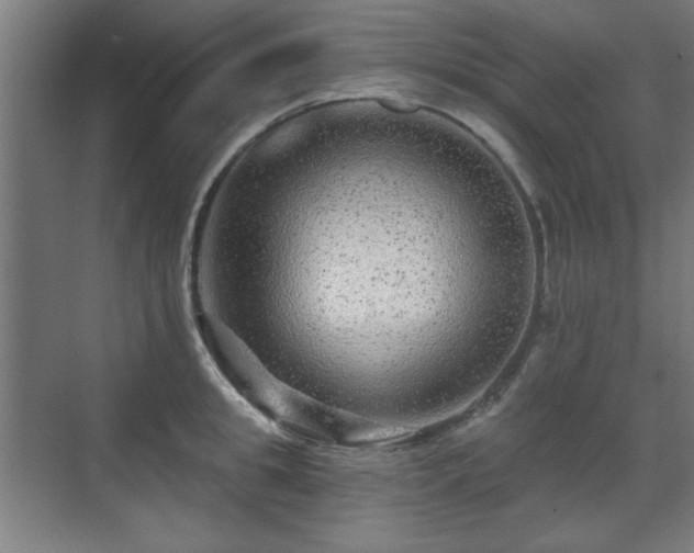 X0000071340949200606261312