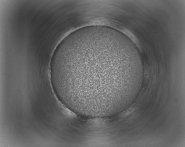 X0000071340950200606261312