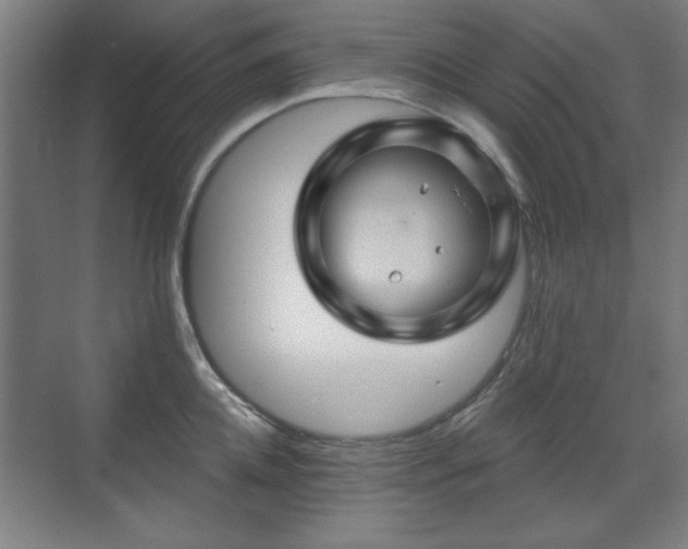 X0000071340952200606261312