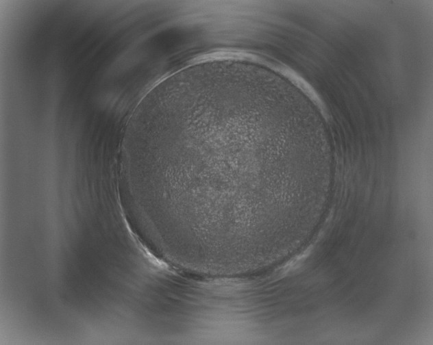 X0000071340953200606261312