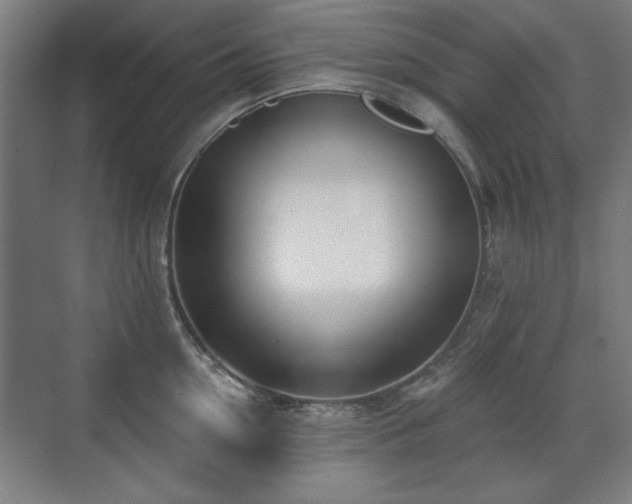 X0000071340954200606261312