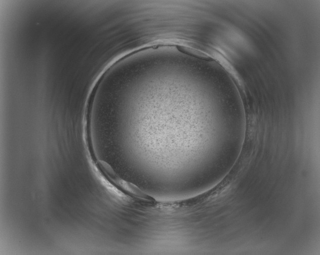 X0000071340955200606261312