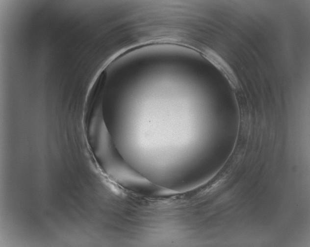 X0000071340956200606261312